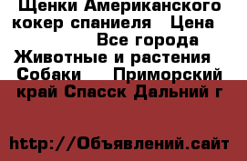 Щенки Американского кокер спаниеля › Цена ­ 15 000 - Все города Животные и растения » Собаки   . Приморский край,Спасск-Дальний г.
